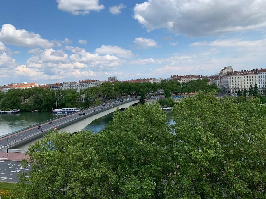 Le Bleu Face Au Rhone By Chez Alam Daire Lyon Dış mekan fotoğraf